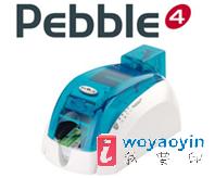 ӦPEBBLE 4֤ӡ 